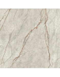 IMOLA THE ROOM GREY ROOTS MAT 120x120 GRE RO6 120 RM GAT.1