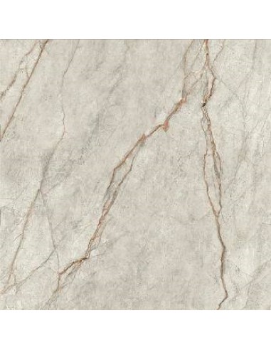 IMOLA THE ROOM GREY ROOTS MAT 120x120 GRE RO6 120 RM GAT.1