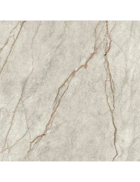 IMOLA THE ROOM GREY ROOTS POLER 120x120 GRE RO6 120 LP GAT.1