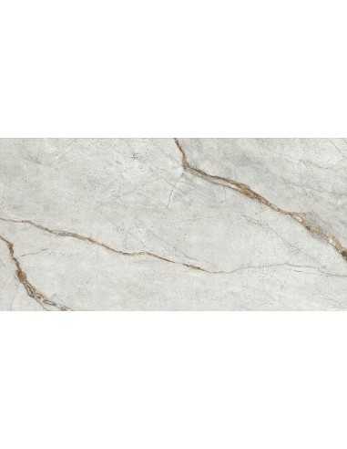 IMOLA THE ROOM GREY ROOTS MAT 60x120 GRE RO6 12 RM GAT.1