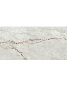 IMOLA THE ROOM GREY ROOTS MAT 60x120 GRE RO6 12 RM GAT.1