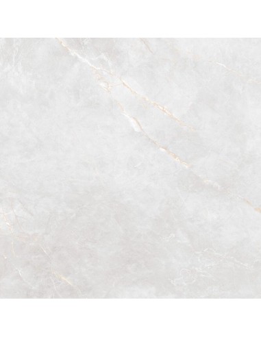 TUBĄDZIN SHINESTONE WHITE POLER 59,8X59,8 GAT.1