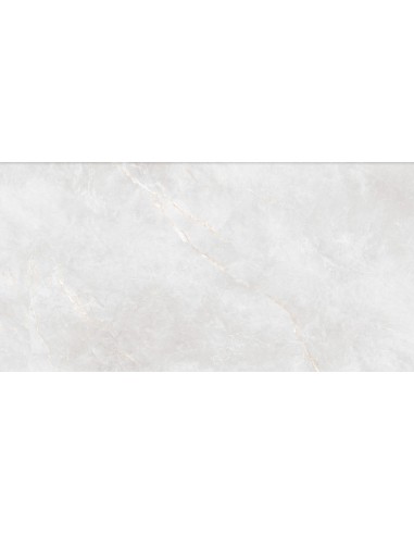 TUBĄDZIN SHINESTONE WHITE POLER 59,8X119,8 GAT.1