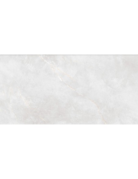 TUBĄDZIN SHINESTONE WHITE POLER 59,8X119,8 GAT.1