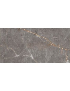 TUBĄDZIN SHINESTONE GREY POLER 59,8X119,8 GAT.1