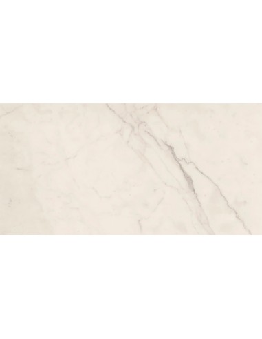 LAFAENZA TREX WHITE MAT 60x120 TREX12W RM GAT.1