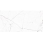 CERAMICA LIMONE MARMO WHITE POLER 60x120 GAT.1
