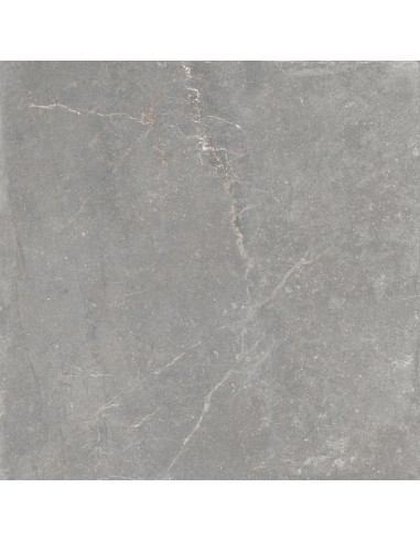 CERAMICA LIMONE BLUE MOON GREY SOFT MAT 90X90 GAT.1