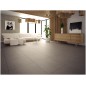 CERAMICA LIMONE QUBUS BEIGE SUGAR LAPPATO 60X60 GAT.1