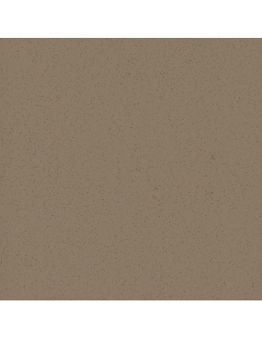 PARADYŻ U102 GRYS 60,3x60,3 GAT.1