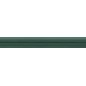 TUBĄDZIN MACIEJ ZIEŃ TIMELESS GREEN 1 LISTWA ŚCIENNA 4,2X32,8 GAT.1