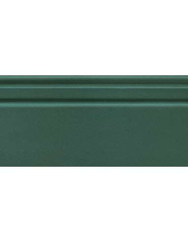 TUBĄDZIN MACIEJ ZIEŃ TIMELESS GREEN 3 LISTWA ŚCIENNA 16X32,8 GAT.1