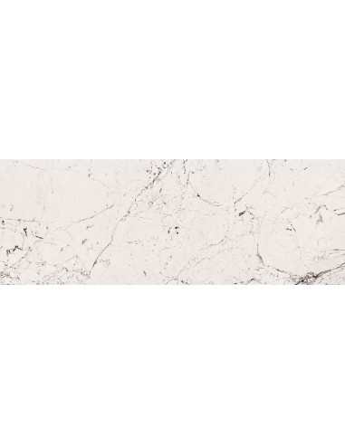 TUBĄDZIN MACIEJ ZIEŃ SOPHISTICATED WHITE PŁYTKA ŚCIENNA 32,8x89,8 GAT.1