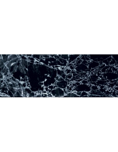 TUBĄDZIN MACIEJ ZIEŃ SOPHISTICATED BLACK DEKOR SZKLANY 32,8x89,8 GAT.1