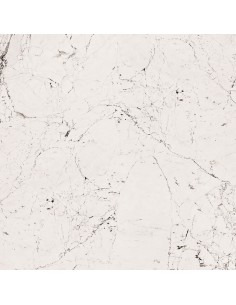 TUBĄDZIN MACIEJ ZIEŃ SOPHISTICATED WHITE POL 59,8X59,8 GAT.1