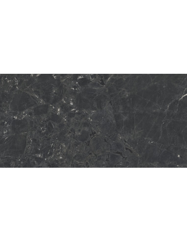 Ceramica Limone Gekko Black Mat 60X120 GAT.1