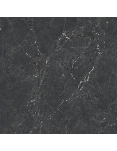 Ceramica Limone Gekko Black Mat 120X120 GAT.1