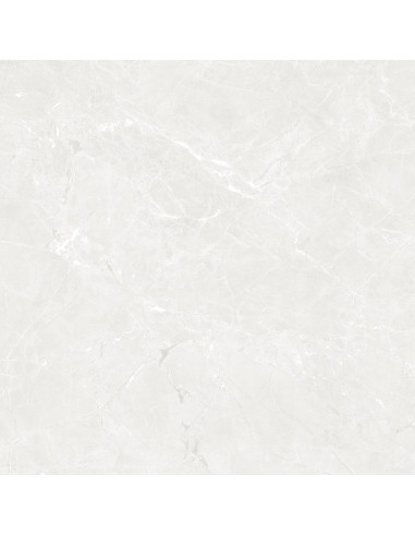 Ceramica Limone Gekko White Mat 120X120 GAT.1