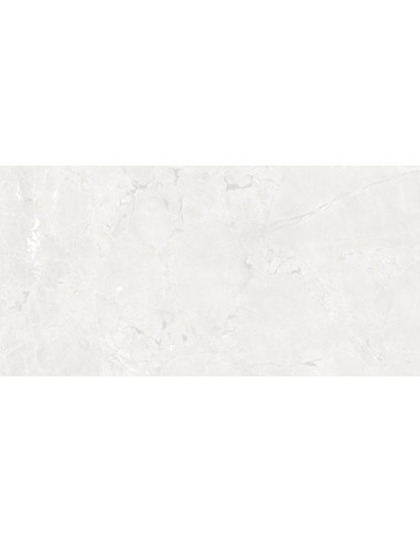 Ceramica Limone Gekko White Mat 60X120 GAT.1