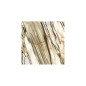 Imola The Room Calacatta Oyster mat 120X120 CAL OY6 120 RM gat.1