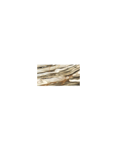 Imola The Room Calacatta Oyster satin 60X120 CAL OY6 12 LPM gat.1