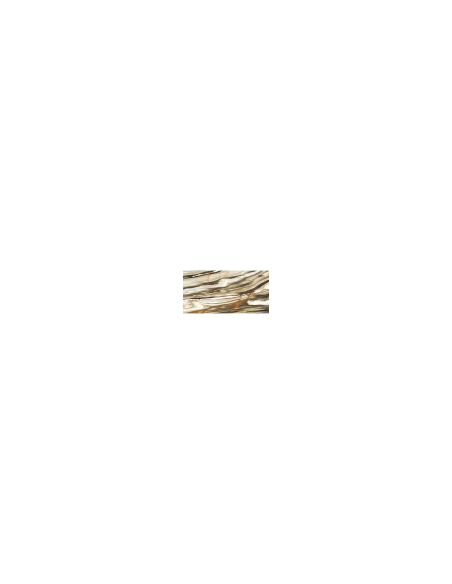 Imola The Room Calacatta Oyster poler 60X120 CAL OY6 12 LP gat.1