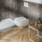 Geberit Selnova Zestaw miska WC Rimfree wisząca, lejowa z ukrytmi mocowaniami i z deską sedesową 502.793.00.1