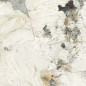 IMOLA THE ROOM QUARTZITE PATAGONIA POLER 120X120 PAT WH6 120 LP GAT.1 IMOLA THE ROOM QUARTZITE PATAGONIA POLER 120X120 PAT WH6 120 LP GAT.1