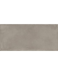 IMOLA AZUMA SILVER MAT 60X120 AZMA 12AG RM GAT.1