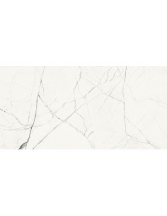 IMOLA THE ROOM STATUARIO VENA PICCOLA MAT 60X120 STA VP6 12 RM GAT.1