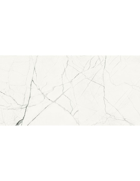 IMOLA THE ROOM STATUARIO VENA PICCOLA MAT 60X120 STA VP6 12 RM GAT.1