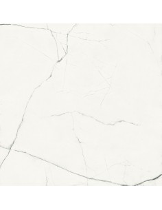 IMOLA THE ROOM STATUARIO VENA PICCOLA POLER 120X120 STA VP6 120 LP GAT.1