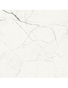 IMOLA THE ROOM STATUARIO VENA PICCOLA MAT 120X120 STA VP6 120 RM GAT.1