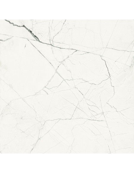 IMOLA THE ROOM STATUARIO VENA PICCOLA MAT 120X120 STA VP6 120 RM GAT.1