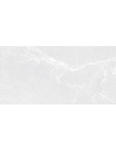 CERAMICA LIMONE BABILON SILVER MAT 60X120 GAT.1