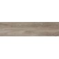 CERAMICA LIMONE ARBARO ORO 29,7X120,2 GAT.1